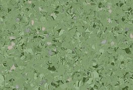 Линолеум Tarkett iQ EMINENT Eminent DARK GREEN 0148